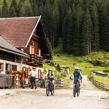 Hotel Eden 4*